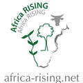 Africa RISING Program logo
